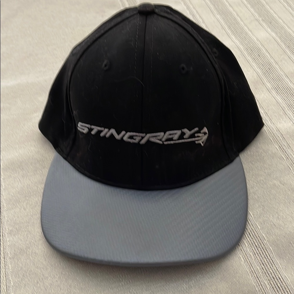 Stingray Black and Gray Cap